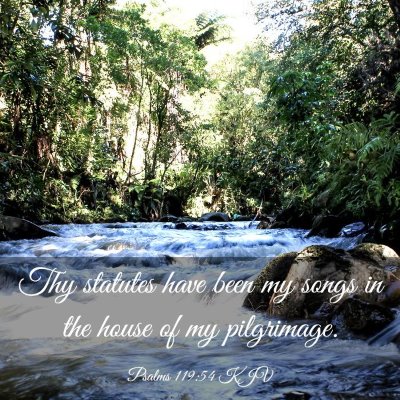 Picture 03 - Psalms 119:54 KJV - Thy statutes have been my songs in the house of - Bible Verse Picture