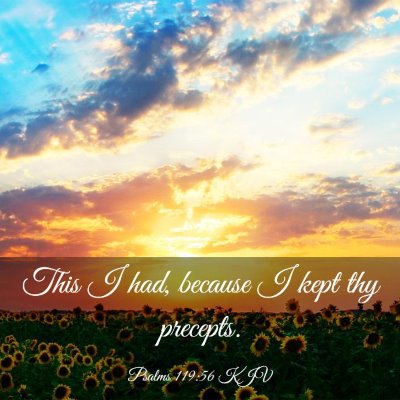 Picture 03 - Psalms 119:56 KJV - This I had, because I kept thy - Bible Verse Picture