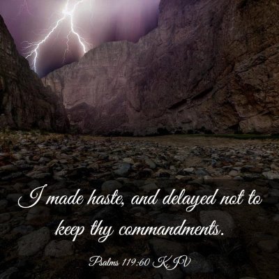 Picture 03 - Psalms 119:60 KJV - I made haste, and delayed not to keep thy - Bible Verse Picture