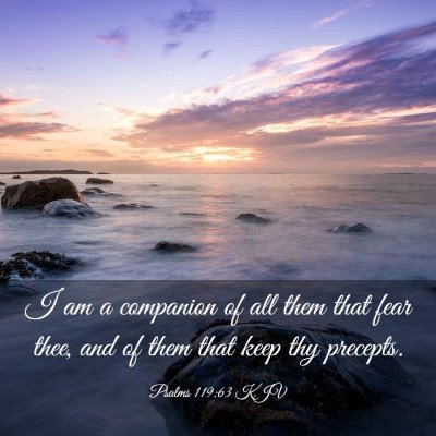 Picture 03 - Psalms 119:63 KJV - I am a companion of all them that fear thee, and - Bible Verse Picture