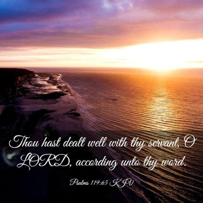 Picture 03 - Psalms 119:65 KJV - Thou hast dealt well with thy servant, O LORD, - Bible Verse Picture