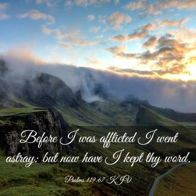 Picture 03 - Psalms 119:67 KJV - Before I was afflicted I went astray: but now - Bible Verse Picture