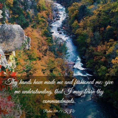 Picture 03 - Psalms 119:73 KJV - Thy hands have made me and fashioned me: give me - Bible Verse Picture