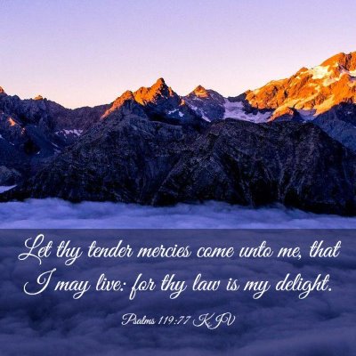 Picture 03 - Psalms 119:77 KJV - Let thy tender mercies come unto me, that I may - Bible Verse Picture
