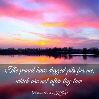 Picture 03 - Psalms 119:85 KJV - The proud have digged pits for me, which are not - Bible Verse Picture
