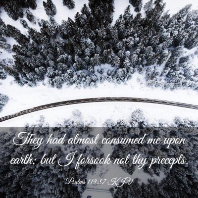 Picture 03 - Psalms 119:87 KJV - They had almost consumed me upon earth; but I - Bible Verse Picture