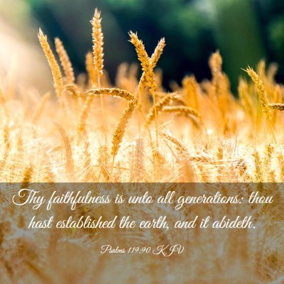 Picture 03 - Psalms 119:90 KJV - Thy faithfulness is unto all generations: thou - Bible Verse Picture