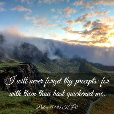 Picture 03 - Psalms 119:93 KJV - I will never forget thy precepts: for with them - Bible Verse Picture