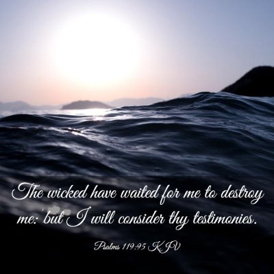 Picture 03 - Psalms 119:95 KJV - The wicked have waited for me to destroy me: but - Bible Verse Picture
