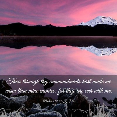 Picture 03 - Psalms 119:98 KJV - Thou through thy commandments hast made me wiser - Bible Verse Picture