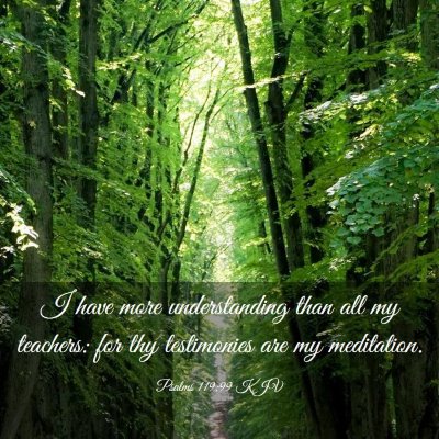 Picture 03 - Psalms 119:99 KJV - I have more understanding than all my teachers: - Bible Verse Picture