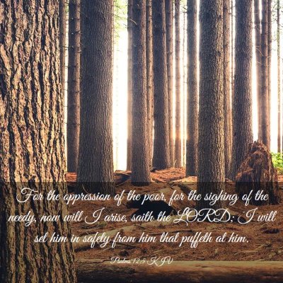 Picture 03 - Psalms 12:5 KJV - For the oppression of the poor, for the sighing - Bible Verse Picture