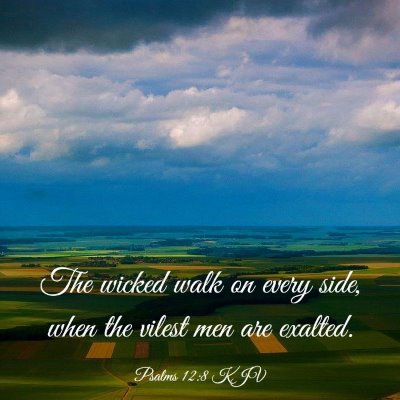 Picture 03 - Psalms 12:8 KJV - The wicked walk on every side, when the vilest - Bible Verse Picture