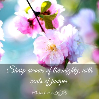 Picture 03 - Psalms 120:4 KJV - Sharp arrows of the mighty, with coals of - Bible Verse Picture