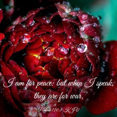 Picture 03 - Psalms 120:7 KJV - I am for peace: but when I speak, they are for - Bible Verse Picture
