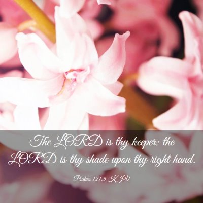 Picture 03 - Psalms 121:5 KJV - The LORD is thy keeper: the LORD is thy shade - Bible Verse Picture