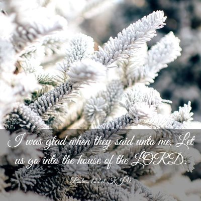 Picture 03 - Psalms 122:1 KJV - I was glad when they said unto me, Let us go into - Bible Verse Picture