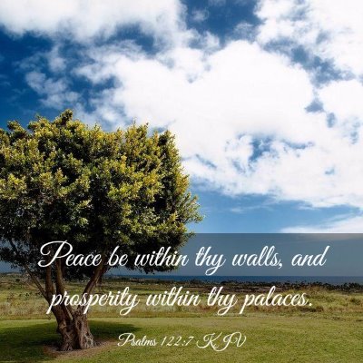 Picture 03 - Psalms 122:7 KJV - Peace be within thy walls, and prosperity within - Bible Verse Picture