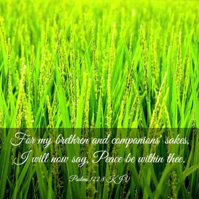 Picture 03 - Psalms 122:8 KJV - For my brethren and companions' sakes, I will now - Bible Verse Picture