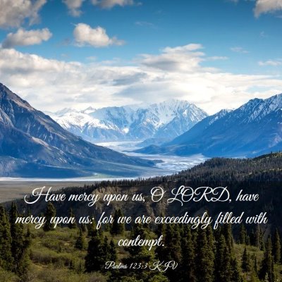 Picture 03 - Psalms 123:3 KJV - Have mercy upon us, O LORD, have mercy upon us: - Bible Verse Picture