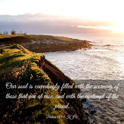 Picture 03 - Psalms 123:4 KJV - Our soul is exceedingly filled with the scorning - Bible Verse Picture