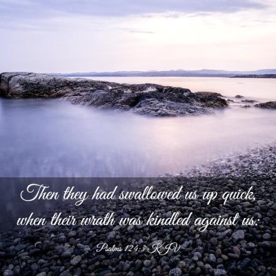 Picture 03 - Psalms 124:3 KJV - Then they had swallowed us up quick, when their - Bible Verse Picture