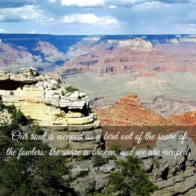 Picture 03 - Psalms 124:7 KJV - Our soul is escaped as a bird out of the snare of - Bible Verse Picture