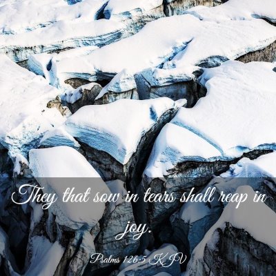 Picture 03 - Psalms 126:5 KJV - They that sow in tears shall reap in - Bible Verse Picture