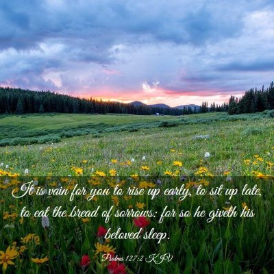 Picture 03 - Psalms 127:2 KJV - It is vain for you to rise up early, to sit up - Bible Verse Picture
