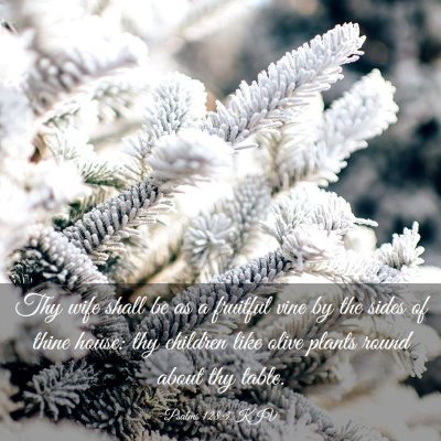 Picture 03 - Psalms 128:3 KJV - Thy wife shall be as a fruitful vine by the sides - Bible Verse Picture