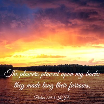 Picture 03 - Psalms 129:3 KJV - The plowers plowed upon my back: they made long - Bible Verse Picture