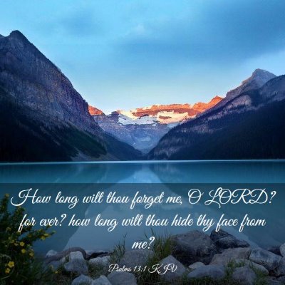 Picture 03 - Psalms 13:1 KJV - How long wilt thou forget me, O LORD? for ever? - Bible Verse Picture