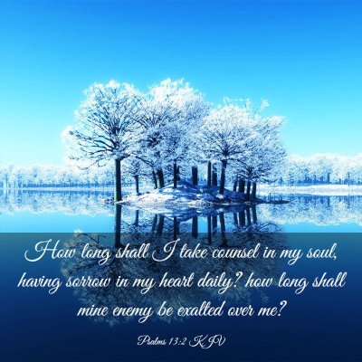 Picture 03 - Psalms 13:2 KJV - How long shall I take counsel in my soul, having - Bible Verse Picture