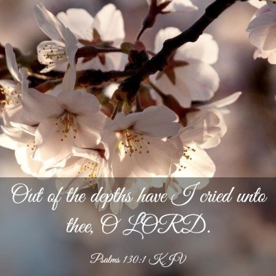 Picture 03 - Psalms 130:1 KJV - Out of the depths have I cried unto thee, O - Bible Verse Picture