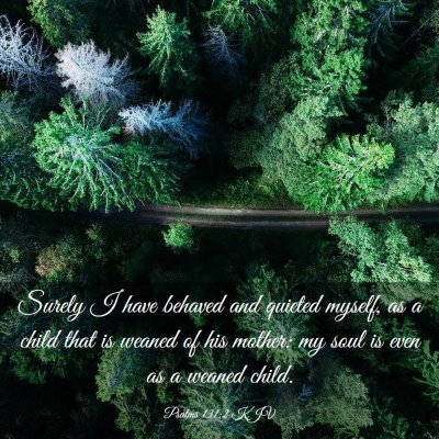 Picture 03 - Psalms 131:2 KJV - Surely I have behaved and quieted myself, as a - Bible Verse Picture