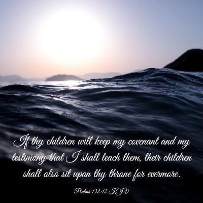 Picture 03 - Psalms 132:12 KJV - If thy children will keep my covenant and my - Bible Verse Picture
