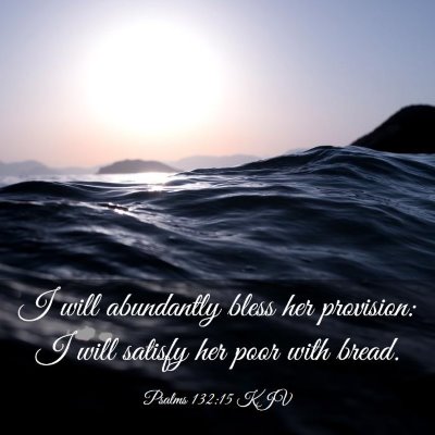 Picture 03 - Psalms 132:15 KJV - I will abundantly bless her provision: I will - Bible Verse Picture