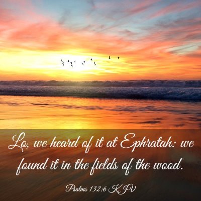 Picture 03 - Psalms 132:6 KJV - Lo, we heard of it at Ephratah: we found it in - Bible Verse Picture