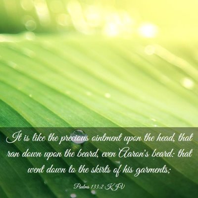 Picture 03 - Psalms 133:2 KJV - It is like the precious ointment upon the head, - Bible Verse Picture
