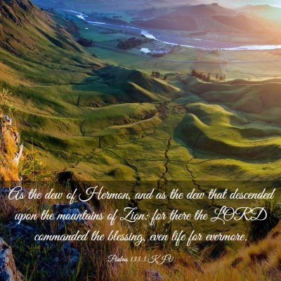 Picture 03 - Psalms 133:3 KJV - As the dew of Hermon, and as the dew that - Bible Verse Picture