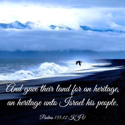 Picture 03 - Psalms 135:12 KJV - And gave their land for an heritage, an heritage - Bible Verse Picture