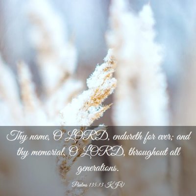 Picture 03 - Psalms 135:13 KJV - Thy name, O LORD, endureth for ever; and thy - Bible Verse Picture