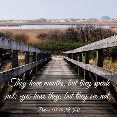 Picture 03 - Psalms 135:16 KJV - They have mouths, but they speak not; eyes have - Bible Verse Picture