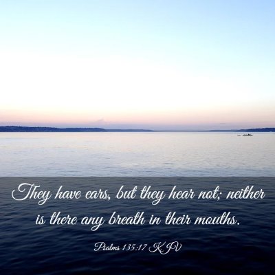 Picture 03 - Psalms 135:17 KJV - They have ears, but they hear not; neither is - Bible Verse Picture