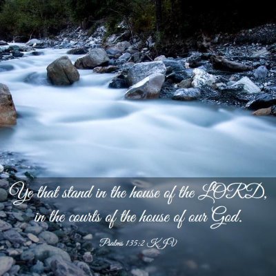 Picture 03 - Psalms 135:2 KJV - Ye that stand in the house of the LORD, in the - Bible Verse Picture