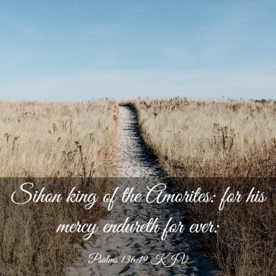 Picture 03 - Psalms 136:19 KJV - Sihon king of the Amorites: for his mercy - Bible Verse Picture