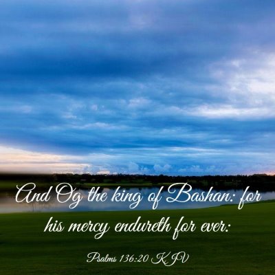 Picture 03 - Psalms 136:20 KJV - And Og the king of Bashan: for his mercy endureth - Bible Verse Picture