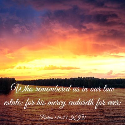 Picture 03 - Psalms 136:23 KJV - Who remembered us in our low estate: for his - Bible Verse Picture