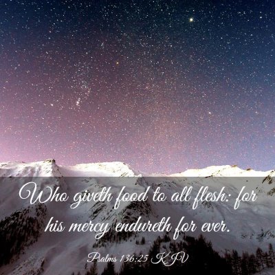Picture 03 - Psalms 136:25 KJV - Who giveth food to all flesh: for his mercy - Bible Verse Picture