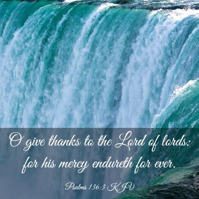 Picture 03 - Psalms 136:3 KJV - O give thanks to the Lord of lords: for his mercy - Bible Verse Picture